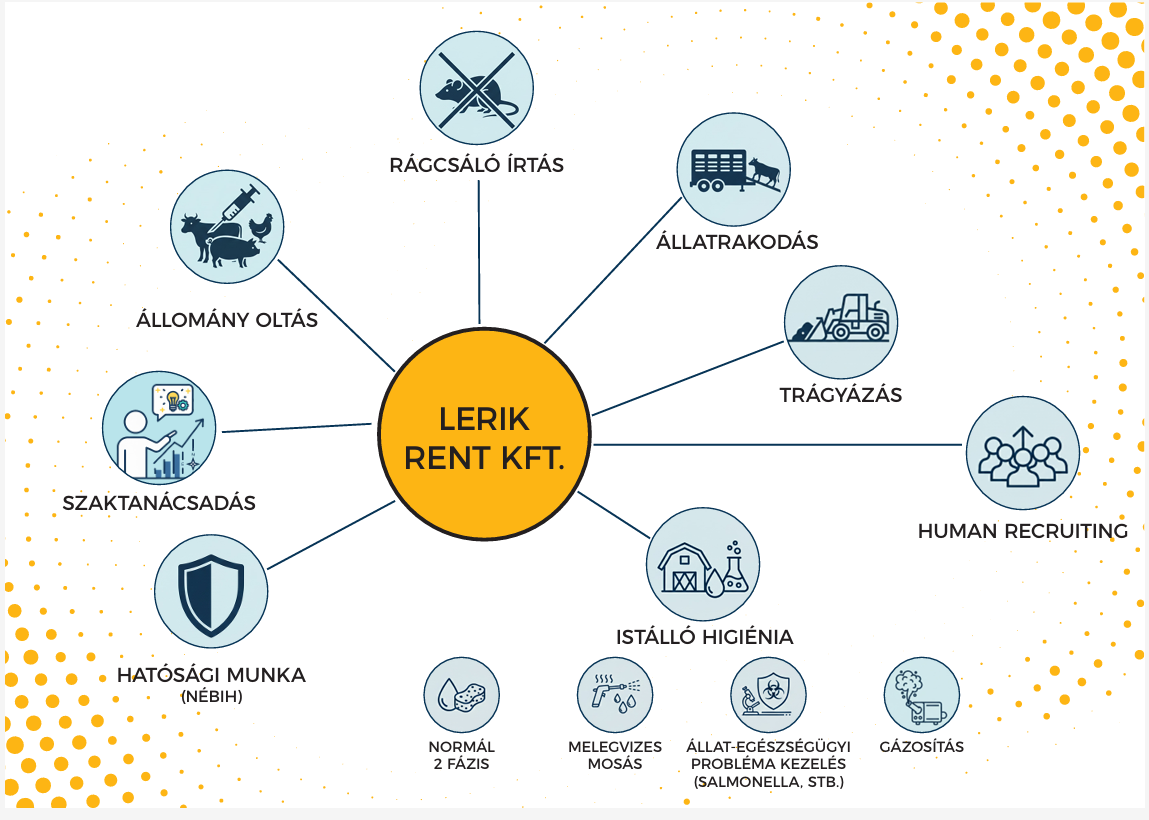 Testreszabható takarítási tervek